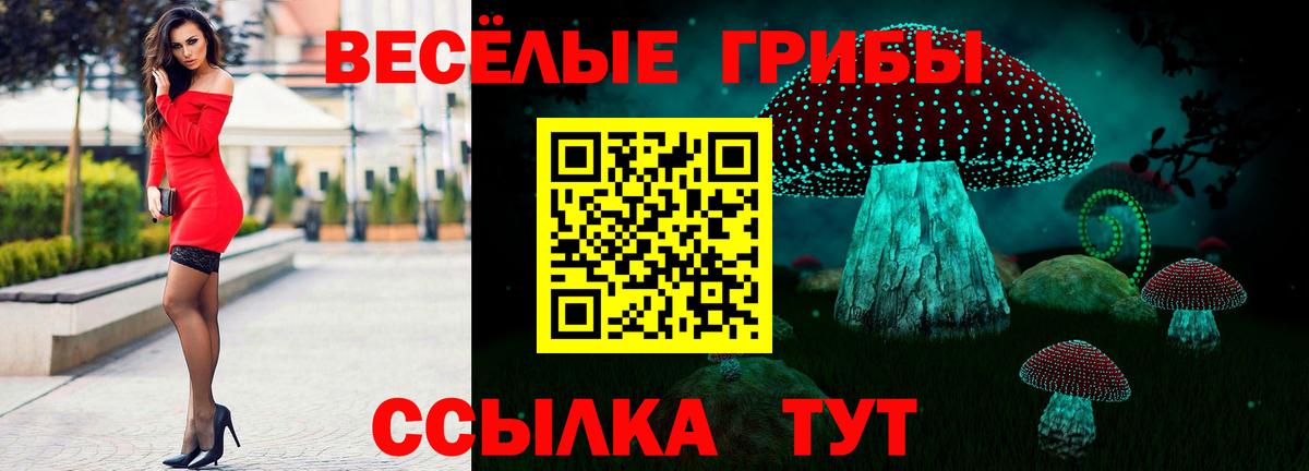 Псилоцибиновые грибы Cubensis  Вход с VPN  Гатчина  Галлюциногенные грибы мицелий 